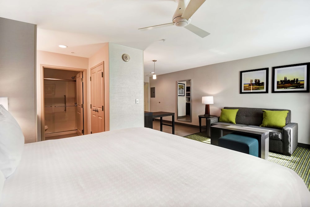 Studio Suite, 1 King Bed, Non Smoking photo 1