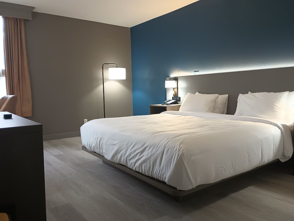 Room, 1 Queen Bed, Accessible, Non Smoking photo 3