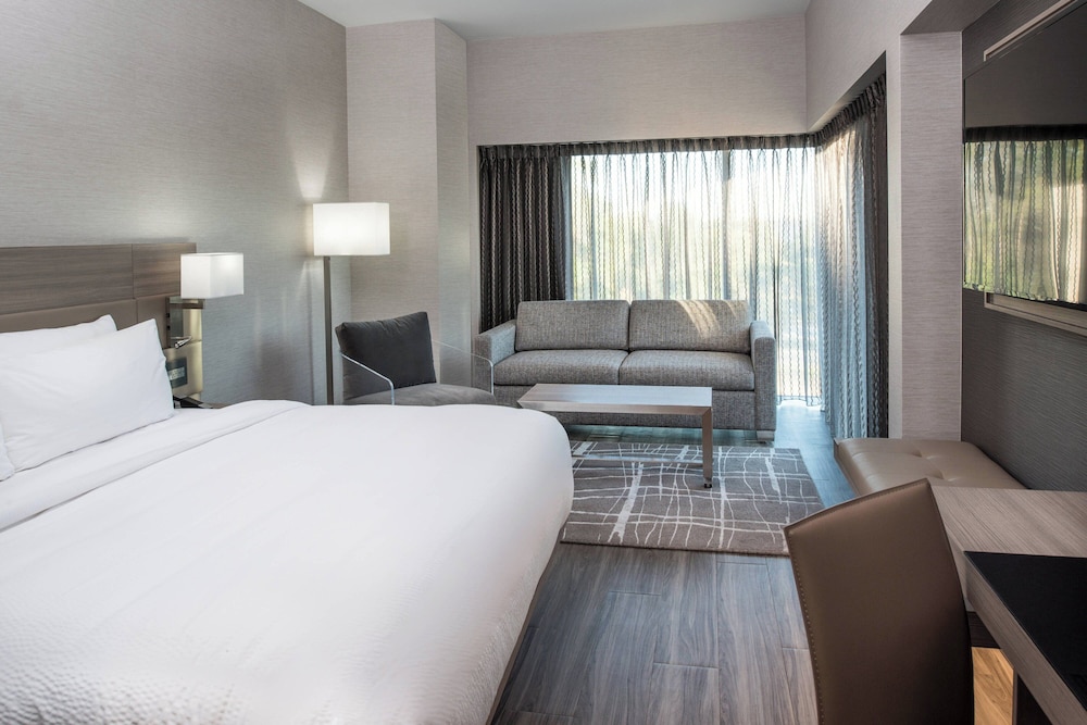 Room, 1 King Bed with Sofa bed (Mobility/Hearing Access, Roll-In Shwr) thumbnail 6