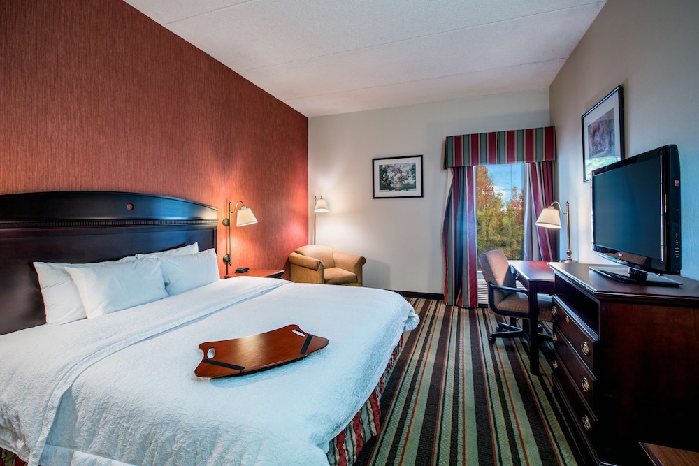 Room, 1 King Bed, Accessible - Photo 2