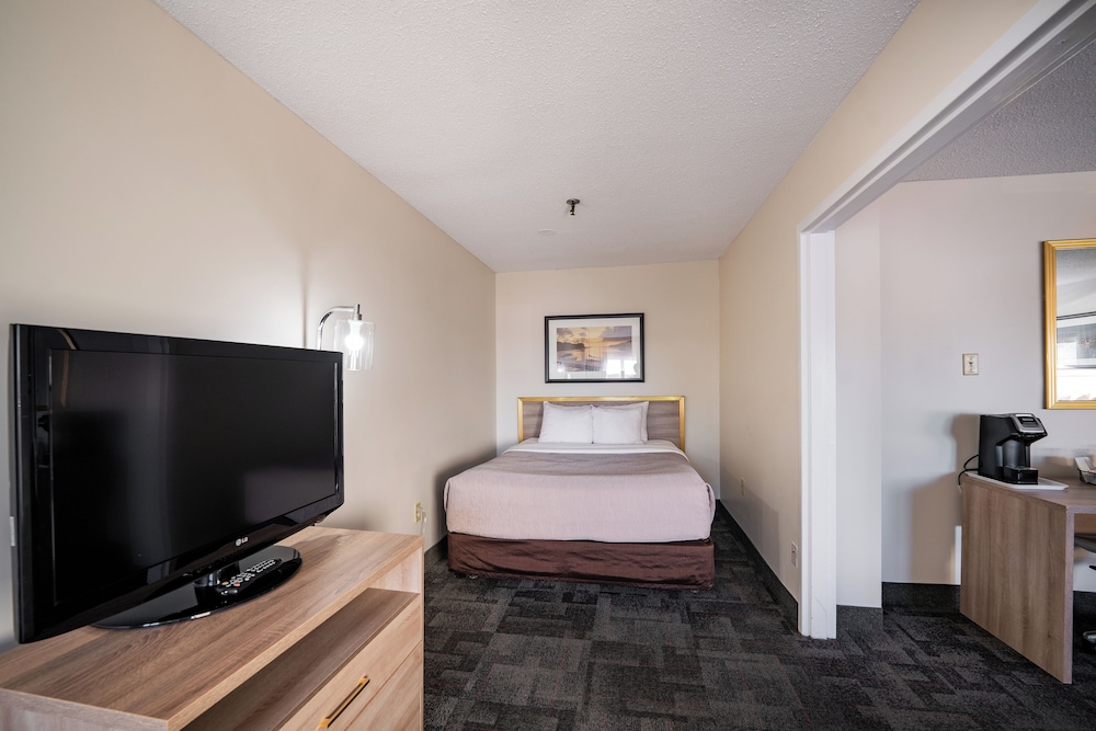 Executive Suite, Multiple Beds photo 2