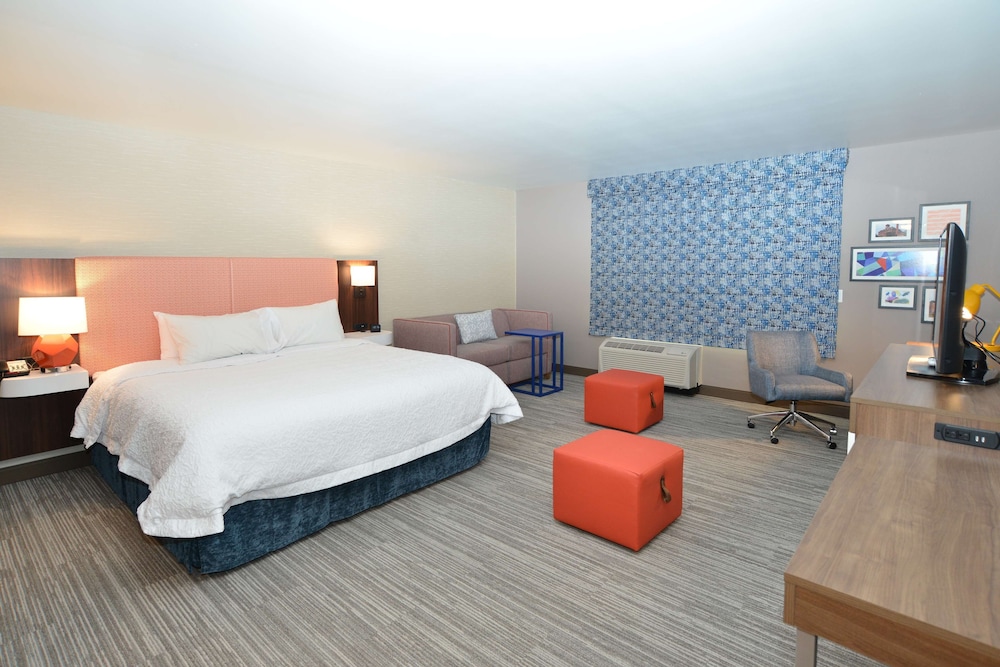 Room, 1 King Bed, Accessible (Roll-In Shower) photo 2