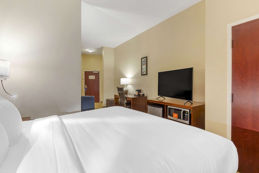 Suite, 1 King Bed with Sofa bed, Non Smoking - Photo 4