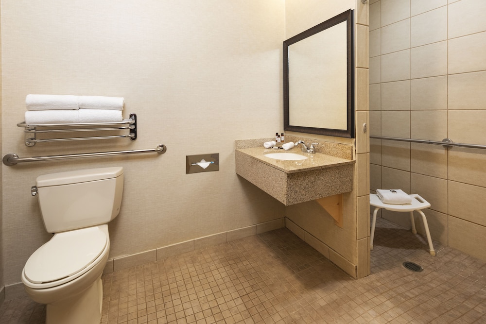 1 King Handicap Accessible