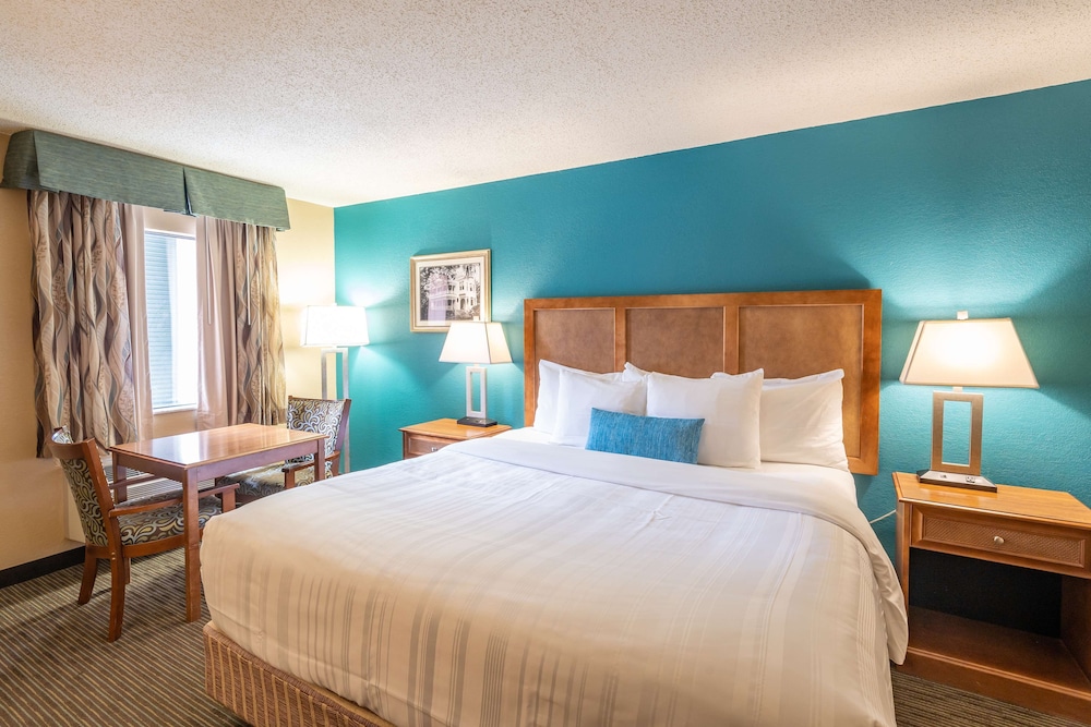Standard Room, 1 King Bed, Accessible, Refrigerator & Microwave photo 3
