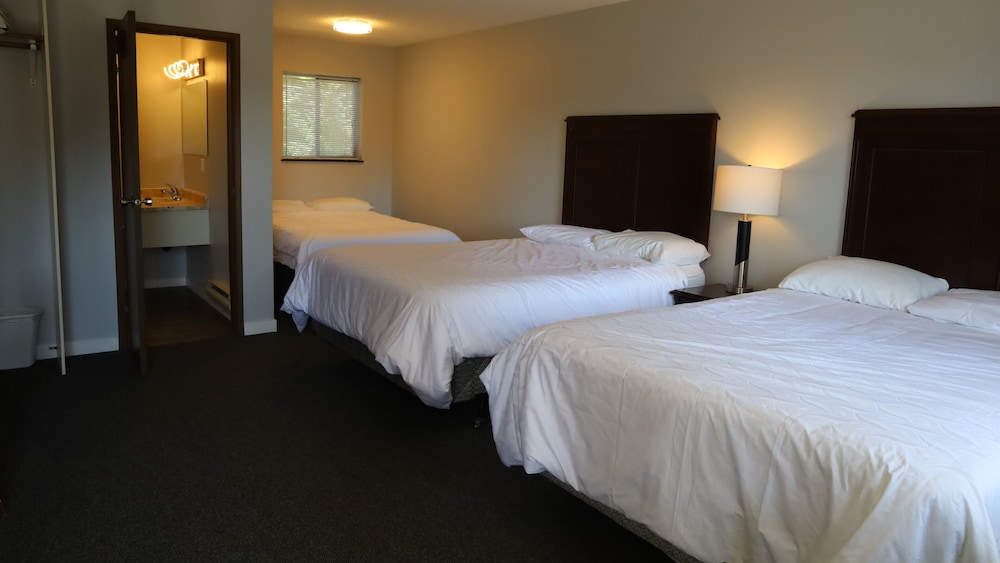 Room, Multiple Beds photo 1