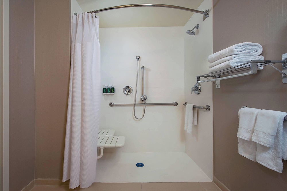 Suite, 1 King Bed (Mobility/Hearing Access, Roll-In Shwr) photo 3