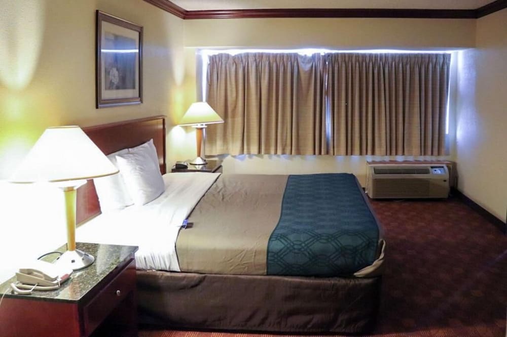 Deluxe Single Room photo 3