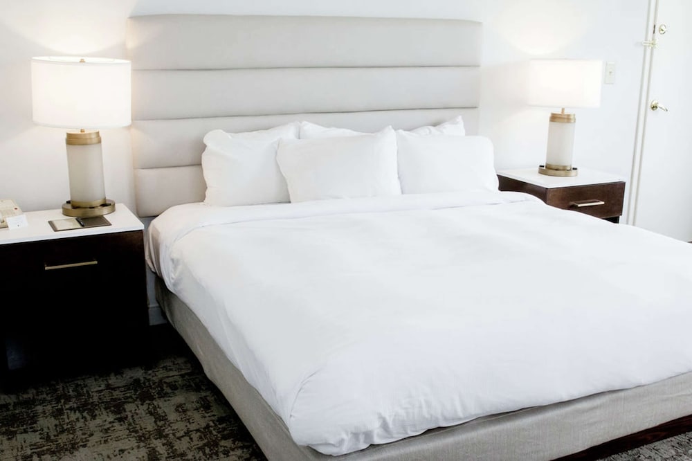 Suite, 1 King Bed, Refrigerator photo 2