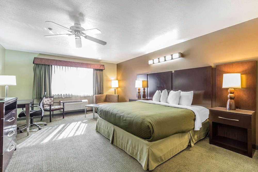 Room, 1 King Bed, Accessible, Non Smoking photo 3