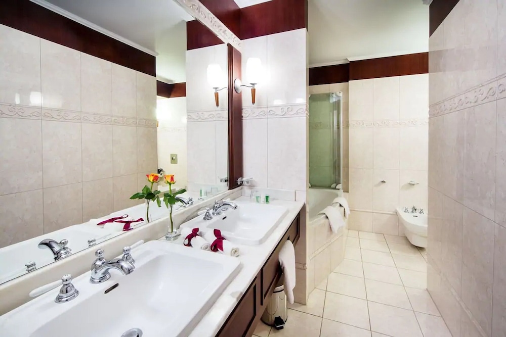 Deluxe Suite - Photo 4