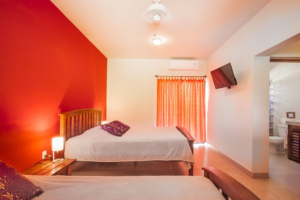 Deluxe Triple Room, Multiple Beds, Garden View photo 1