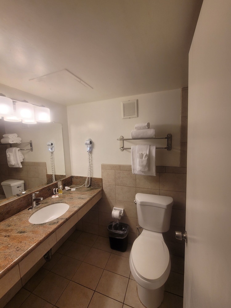 Suite, Multiple Beds, Non Smoking - Photo 4
