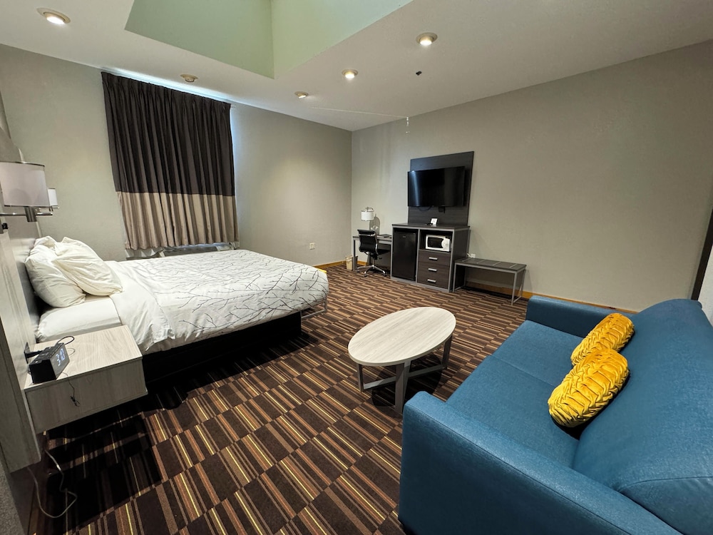 Room, 1 King Bed with Sofa bed, Non Smoking (with Skylight)