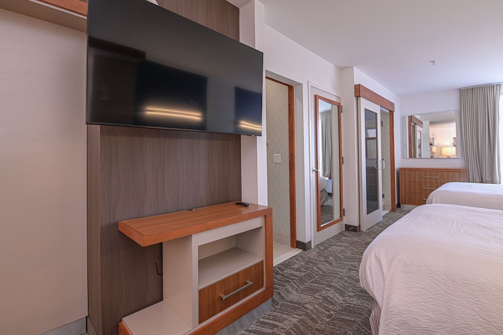 Studio, Multiple Beds - Photo 2