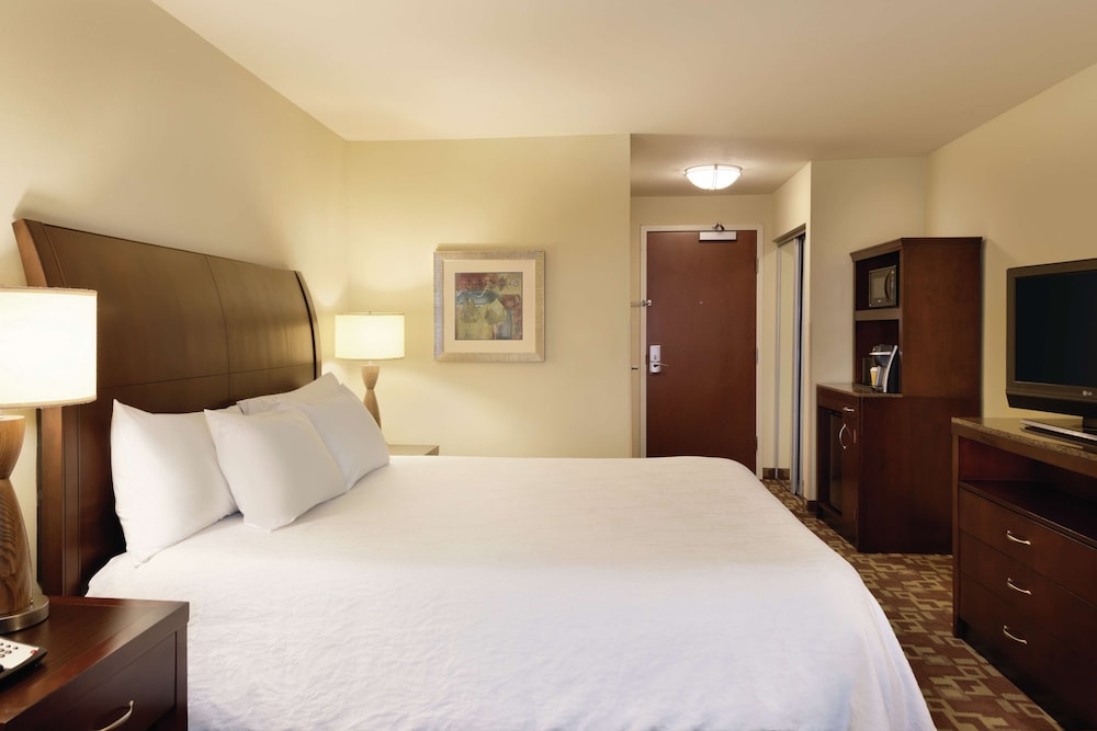 Room, 1 King Bed, Accessible - Photo 6