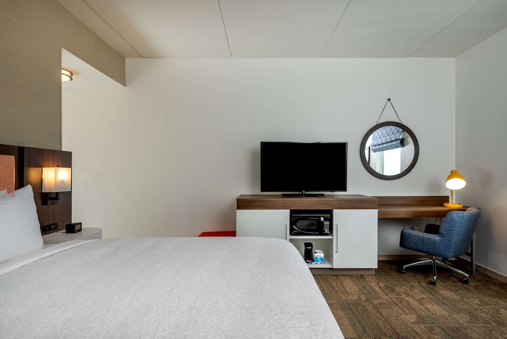 Room, 1 King Bed, Accessible (Hearing, Roll-in Shower)