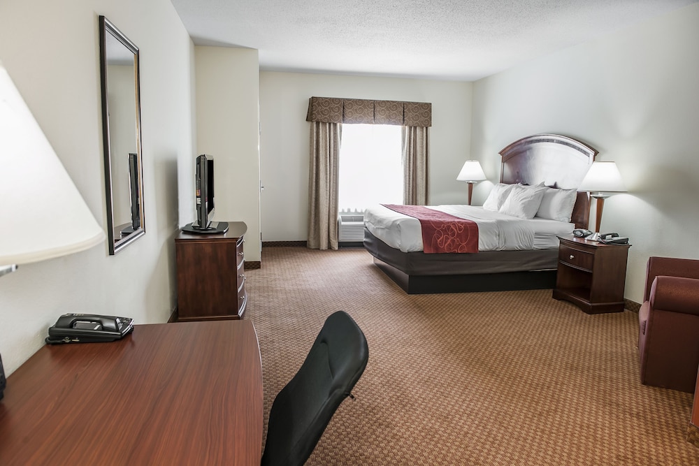 Studio Suite, 1 King Bed, Non Smoking photo 2