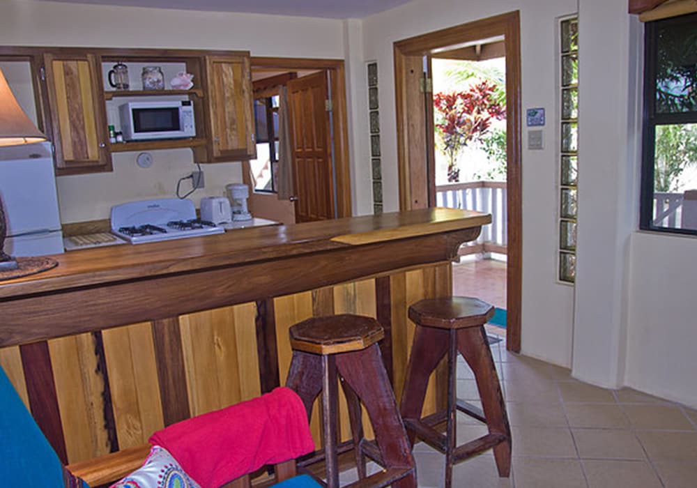Economy Apartment, 1 Queen Bed, Kitchen (Canal Front) photo 2