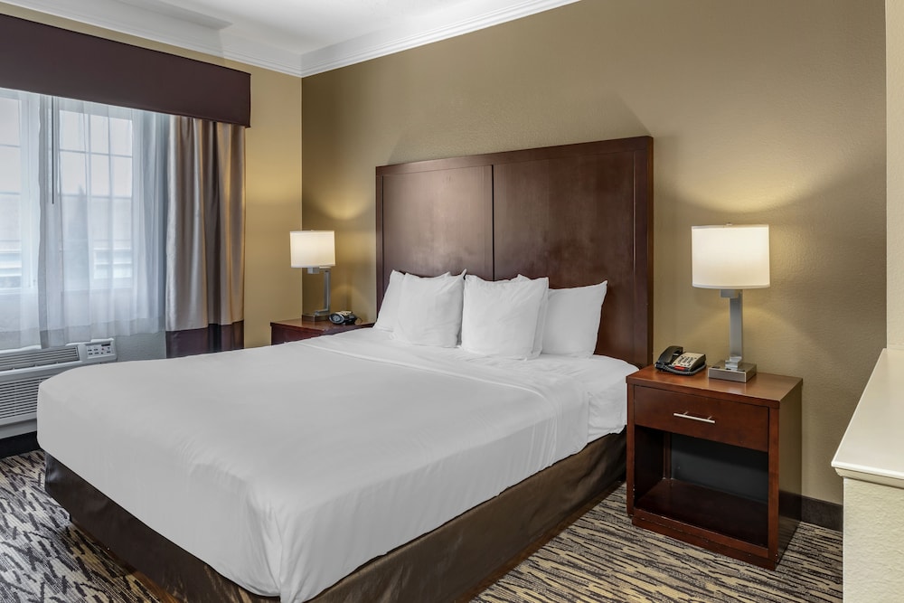 Deluxe Suite, 1 King Bed, Non Smoking (Upgrade) - Photo 3