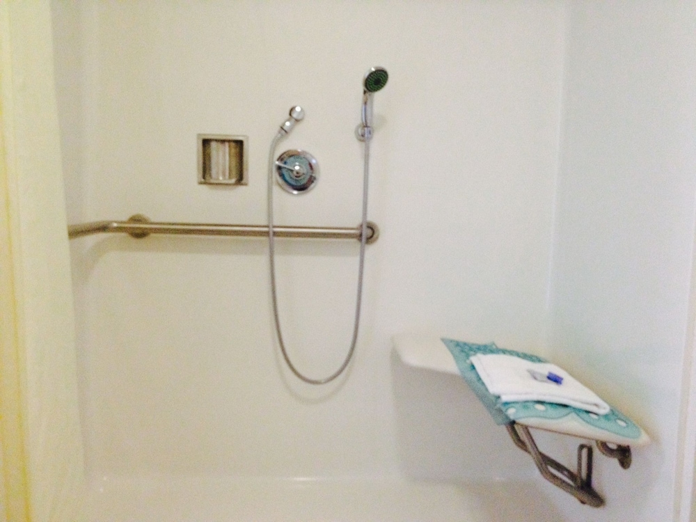 Room, 1 Queen Bed, Accessible photo 3