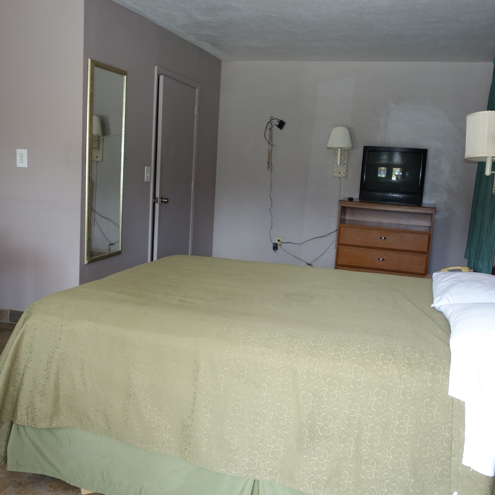 Palm City Motel, Billede 2