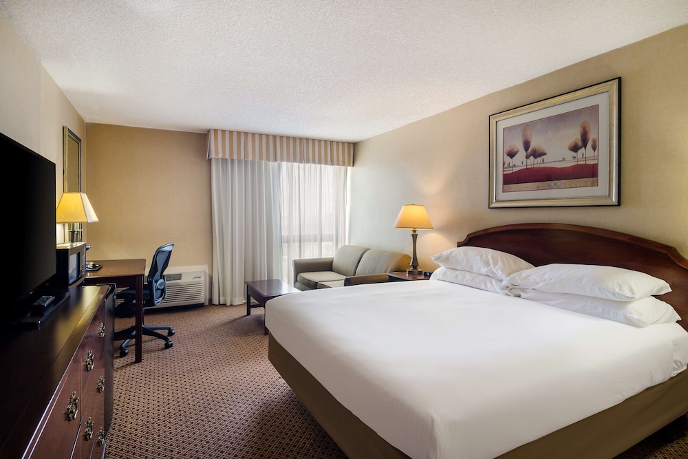 Room, 1 King Bed