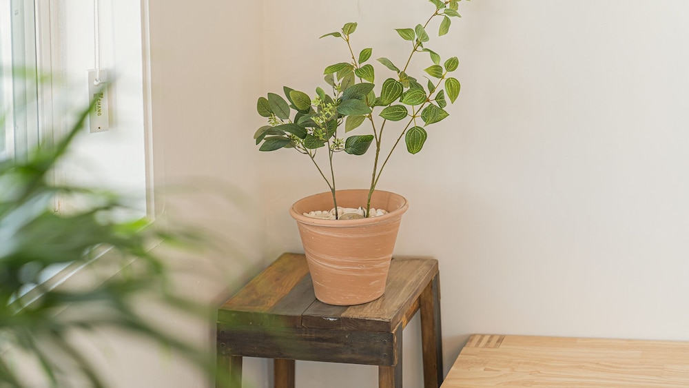 stay 6 photo 2