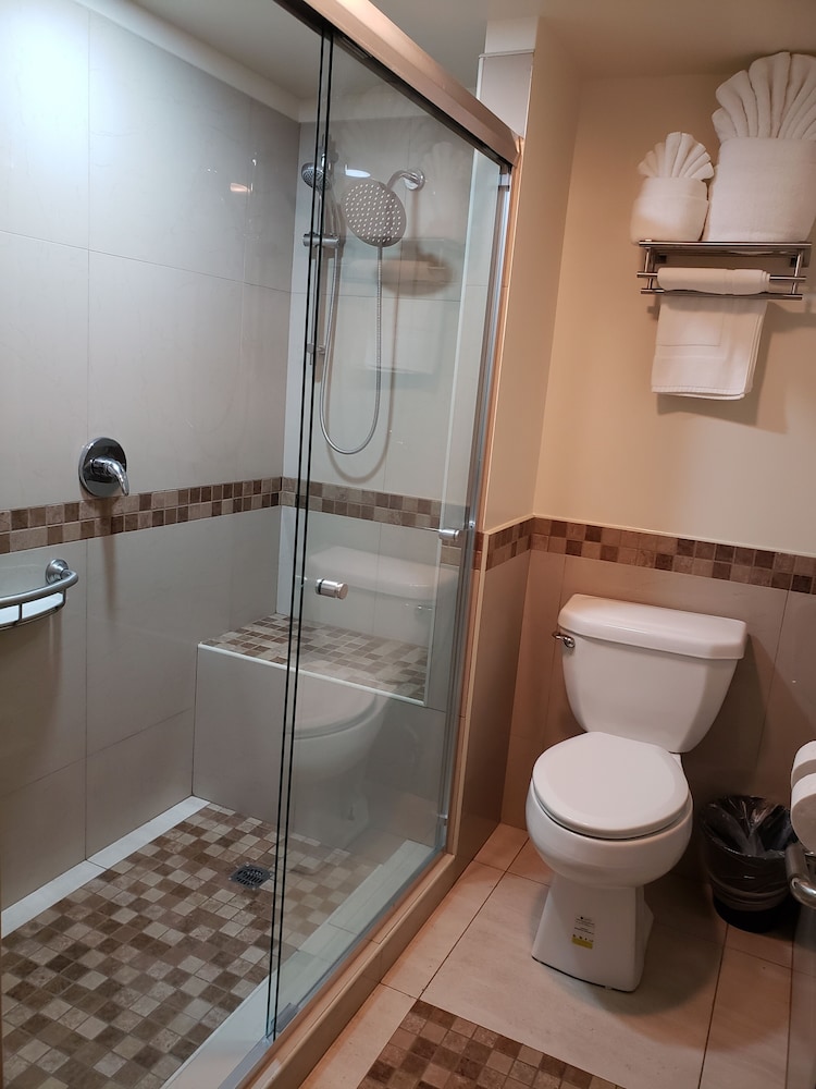 Deluxe Quadruple Room - Photo 7