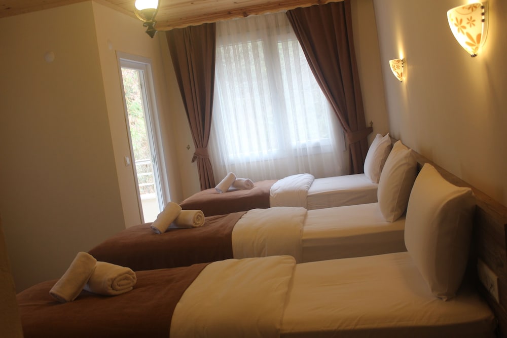 Classic Triple Room photo 2