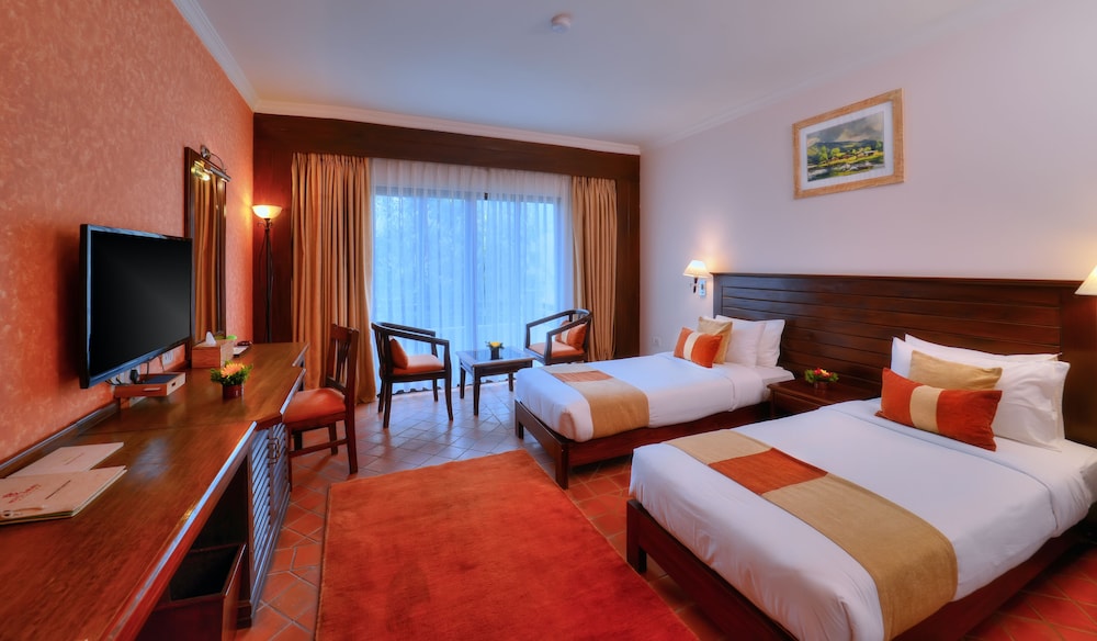 Deluxe Double or Twin Room photo 1