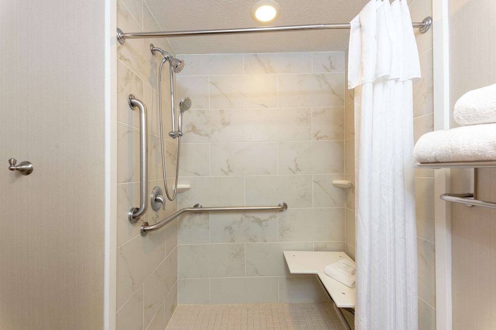 Suite, 1 King Bed, Accessible, Non Smoking (Roll-in Shower) - Photo 7