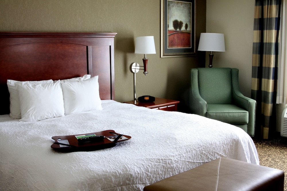Suite, 1 King Bed, Accessible, Non Smoking - Photo 2