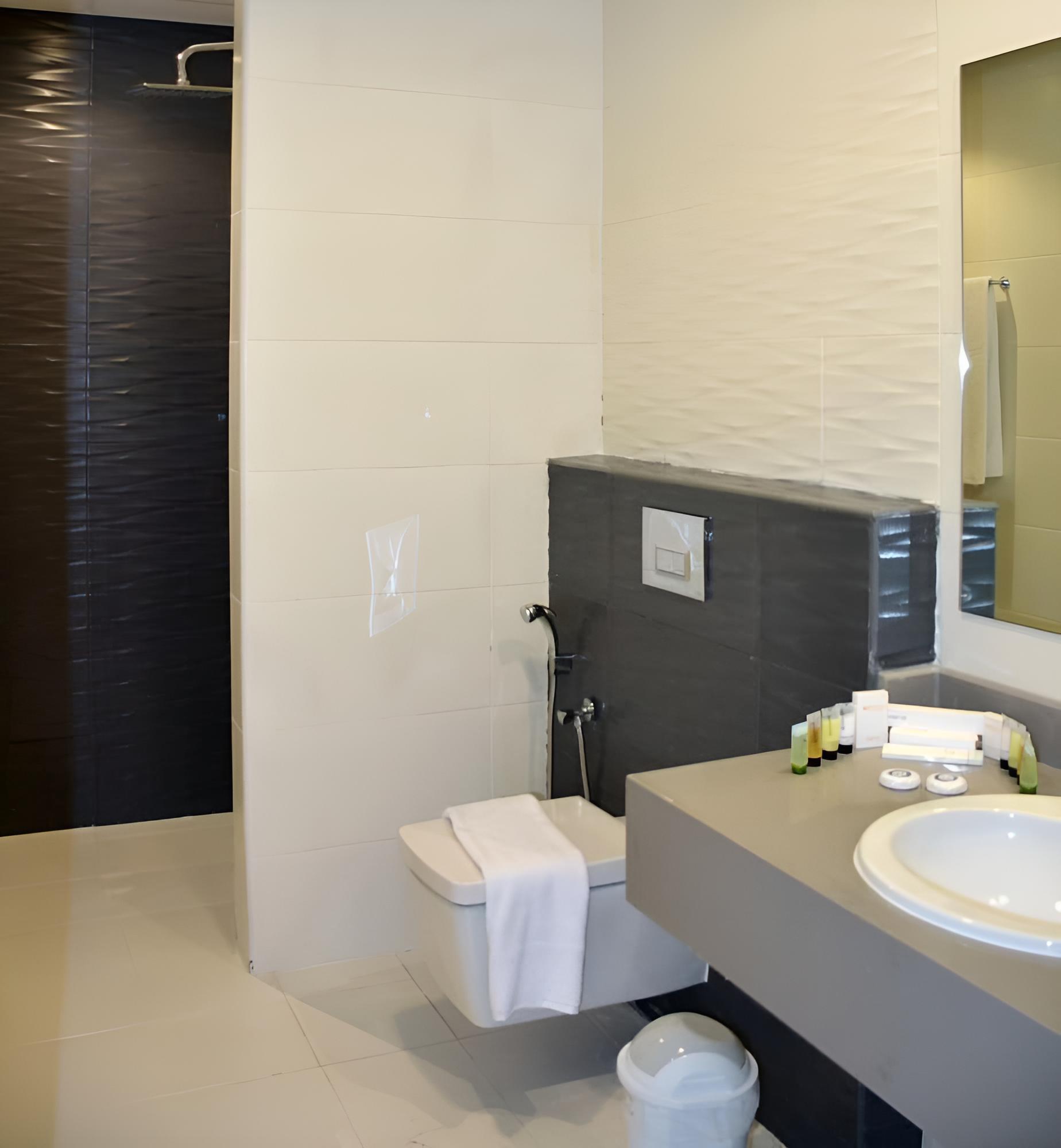 Superior One Bedroom Suites - Photo 4