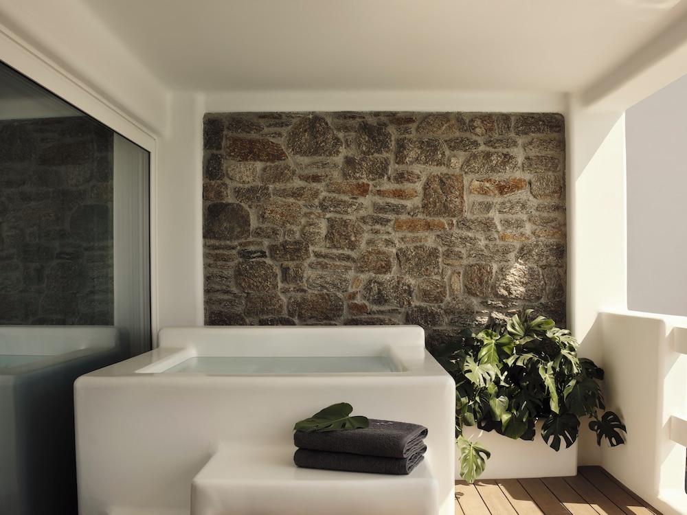 Premium Suite with Plunge Pool