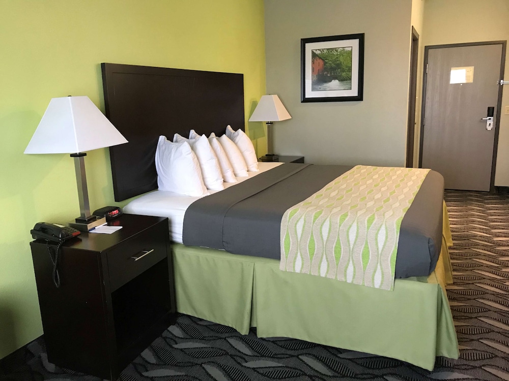Standard Room, 1 King Bed, Non Smoking, Refrigerator & Microwave photo 3