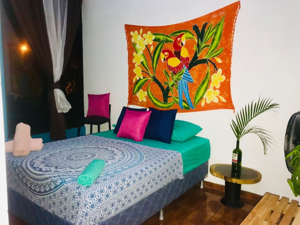 Habitación Básica