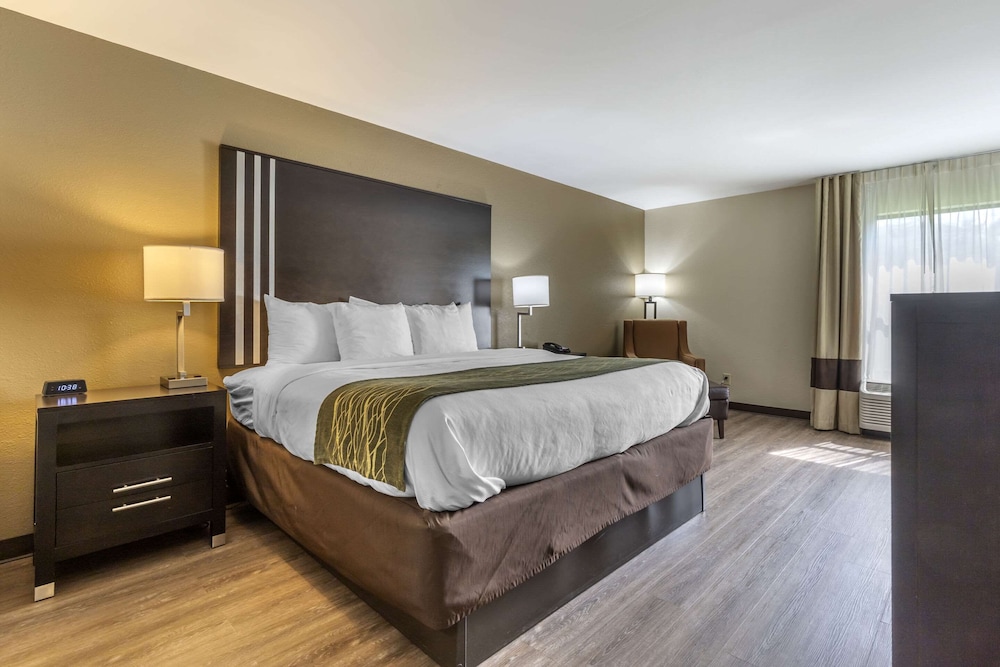 Standard Room, 1 King Bed (Accessible) - Photo 1