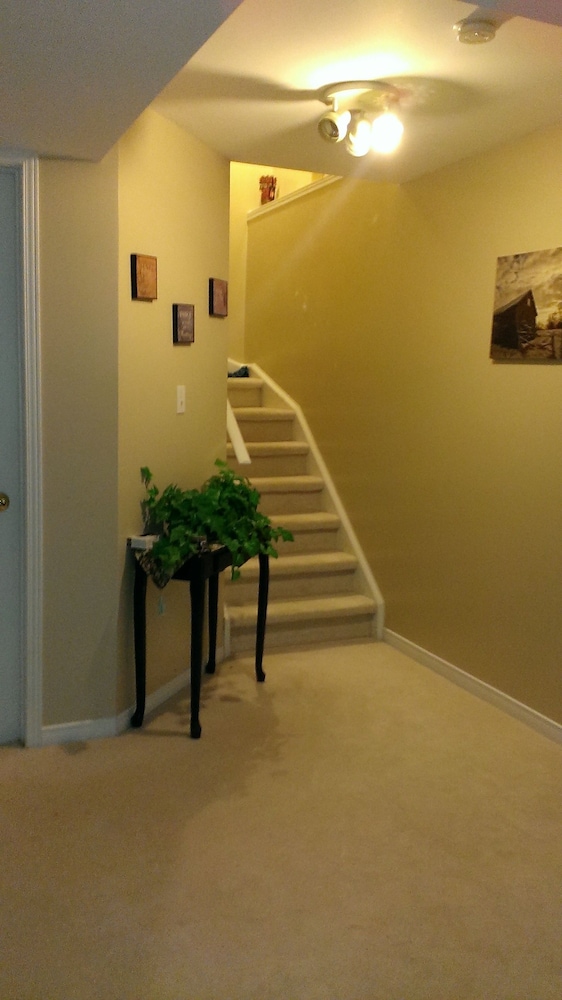 Bachelor Suite with Basement photo 2