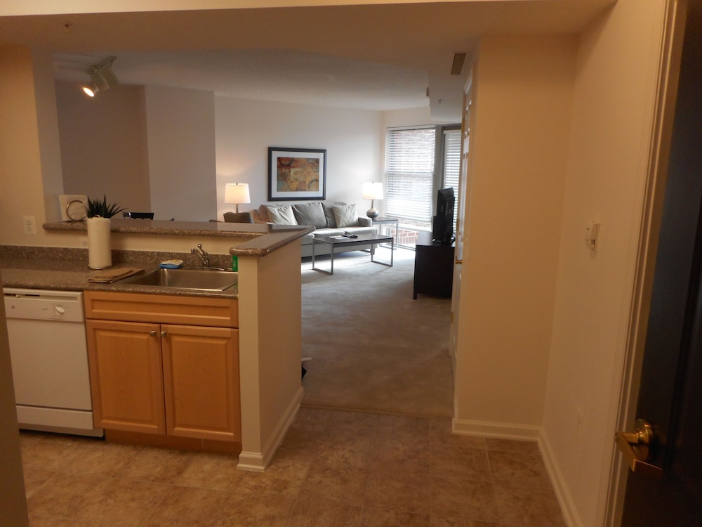 Premier Apartment, 1 Bedroom photo 1