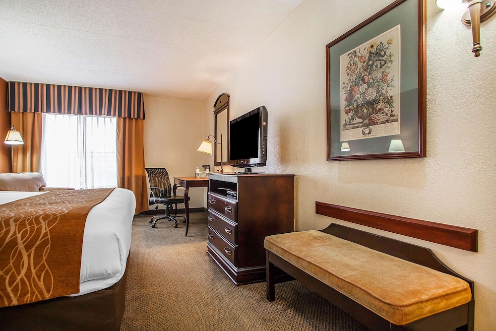 Suite, 1 King Bed with Sofa bed, Non Smoking (Upgrade) photo 1