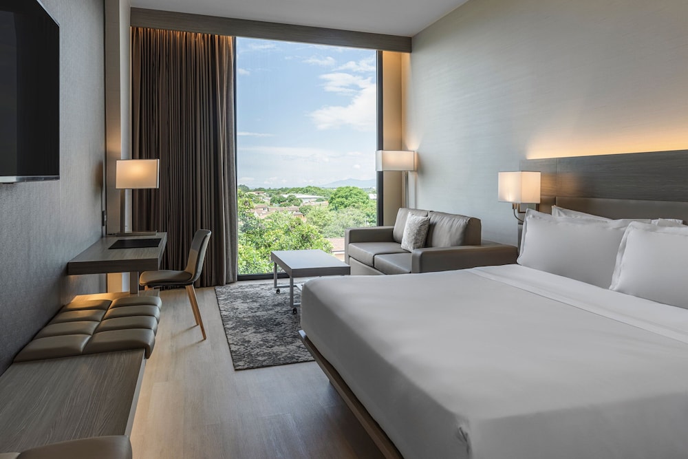 Room, 1 King Bed