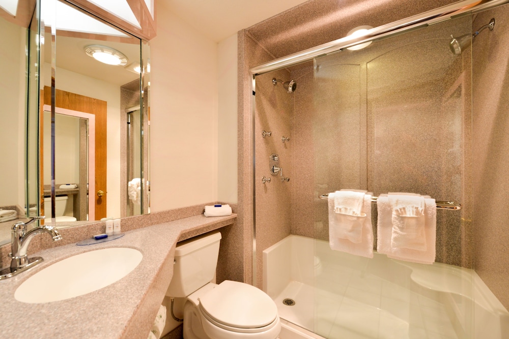 Standard Room, 1 King Bed, Non Smoking, Jetted Tub - Photo 4