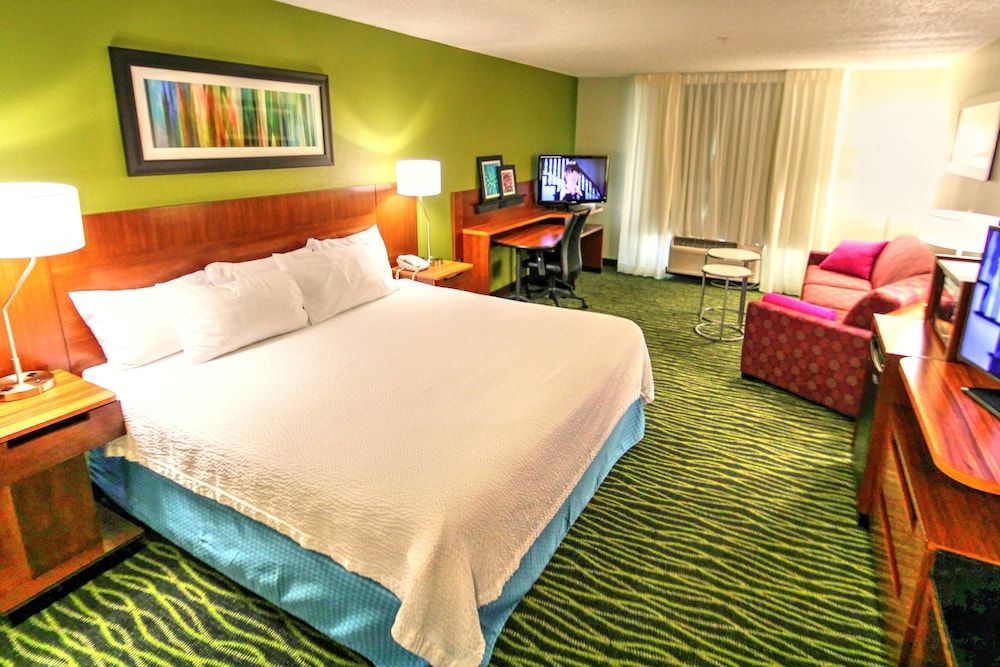 Room, 1 King Bed photo 2