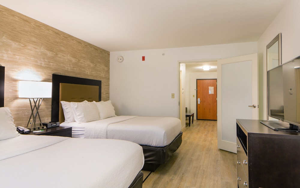 Suite, 1 Bedroom photo 2