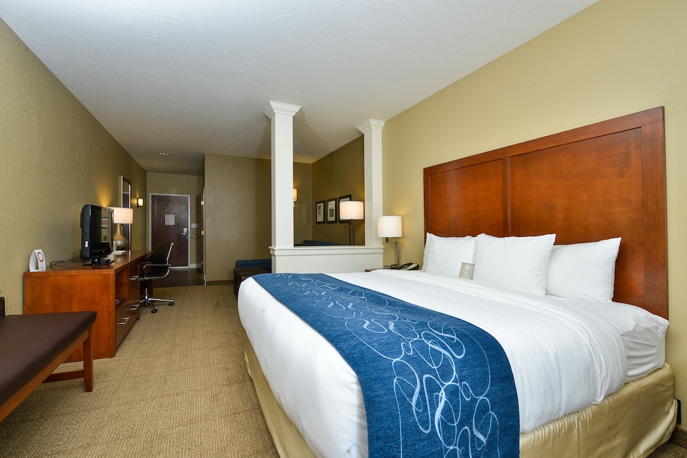 Suite, 1 King Bed with Sofa bed, Accessible, Non Smoking