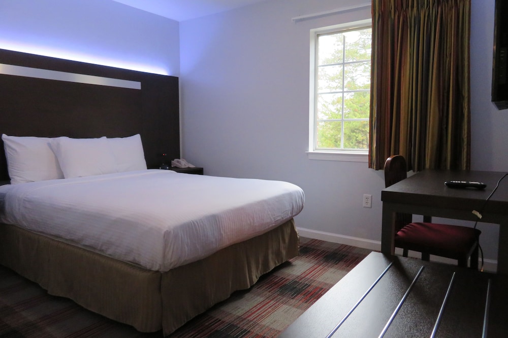 Suite, 1 Queen Bed with Sofa bed photo 3