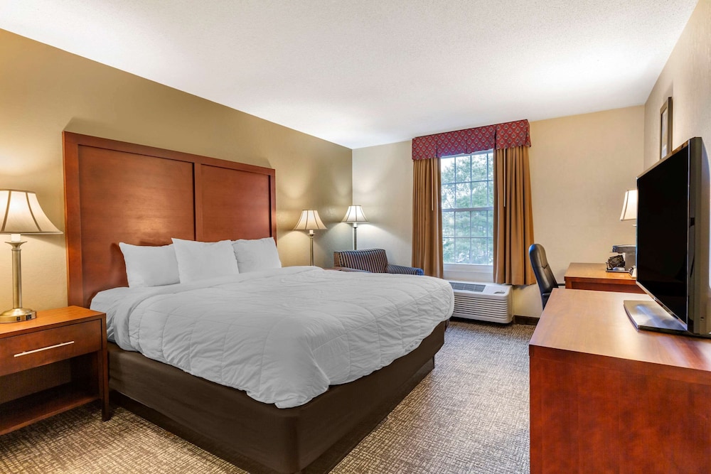 Room, 1 King Bed, Non Smoking photo 1