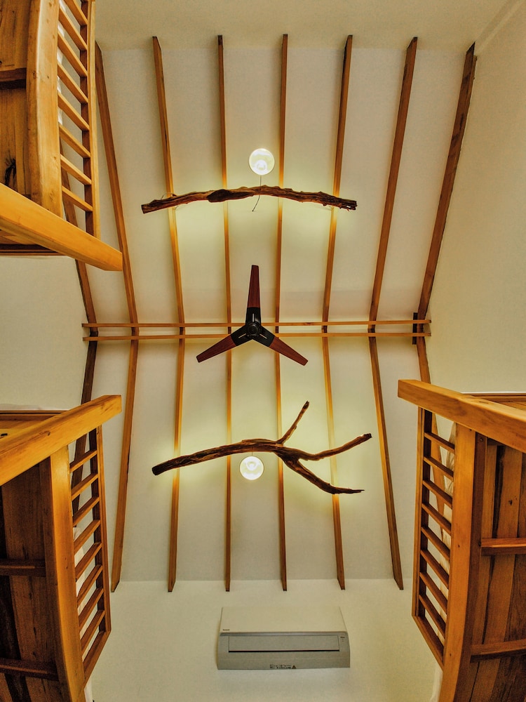 Deluxe Shared Dormitory, Mountain View photo 2