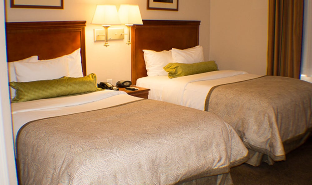 Studio Suite, 2 Double Beds, Kitchen - Photo 3